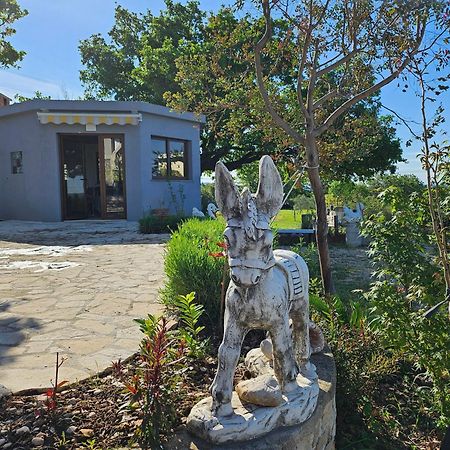 Villa Doci Zadar Exterior photo